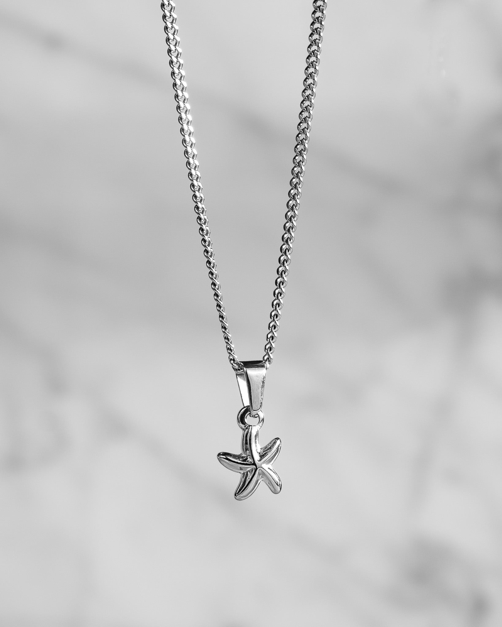 Sjöstjärna Silver