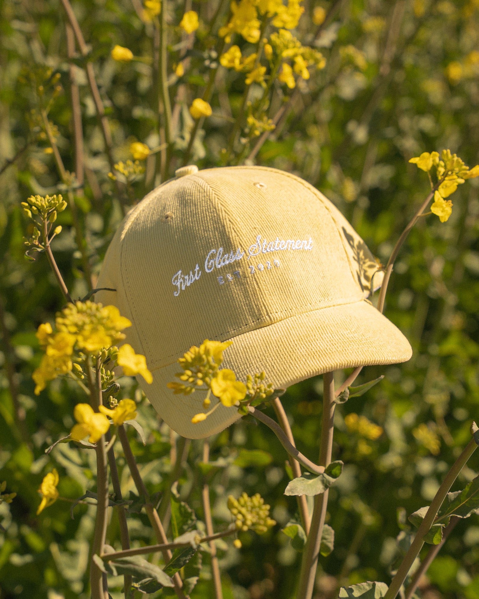 Signature - Midsommar gul